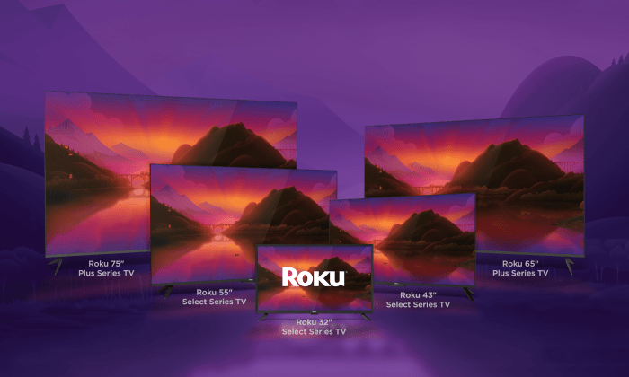 Roku TV Models