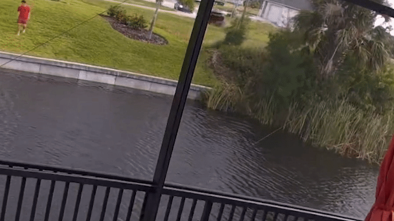 Yee-haw! Dodge Challenger Takes Flight And Sinks Into Florida Canal
