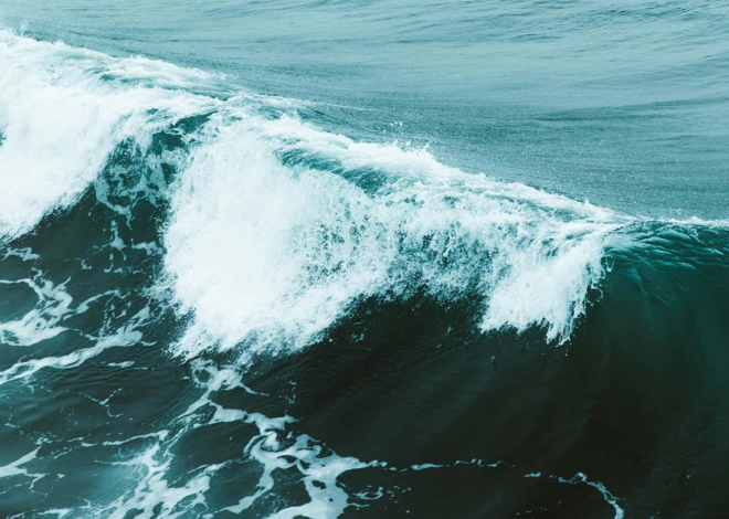 Rogue waves are real and now predictable