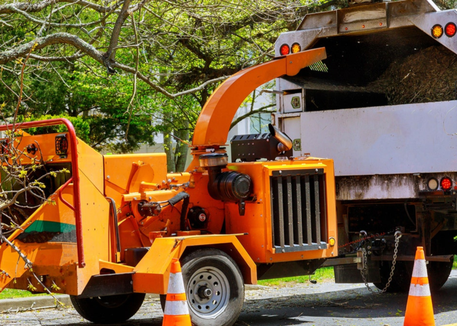 Virginia man dies after being pulled headfirst into woodchipper: report