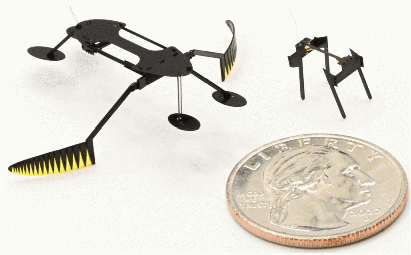 A scale comparison shows the two robots next to a quarter on a white background. The water skimmer is a bit larger than the coin while the other robot is about half the coin's size. 