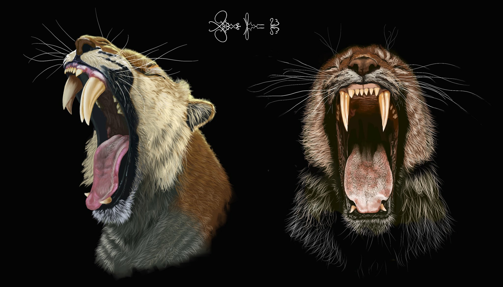 Illustrations show saber-toothed cats with two saber teeth on each side of their mouth, one adult and one baby.